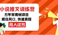 (2594)小说推文训练营,万年常青树项目,抓住风口,快速变现月入过万