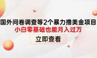(2607)国外问卷调查等2个暴力撸美金项目,小白零基础也能月入过万