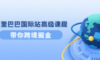 (2659)阿里巴巴国际站高级课程:带你跨境掘金,选品+优化+广告+推广