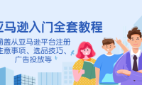 (2665)亚马逊入门全套教程,涵盖从亚马逊平台注册注意事项、选品技巧、广告投放等