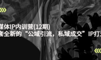 （2672）新媒体IP内训营(12期)，一套全新的“公域引流，私域成交”IP打法，直接带走