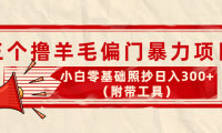 (2679)外面卖998的三个撸羊毛偏门暴力项目,小白零基础照抄日入300+(附带工具)