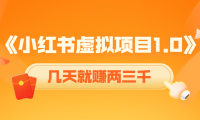 (2719)《小红书虚拟项目1.0》账号注册+养号+视频制作+引流+变现,几天就赚两三千