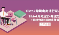 （2744）Tiktok跨境电商通行证2.0，Tiktok账号运营+跨境支付+跨境物流+跨境直播等