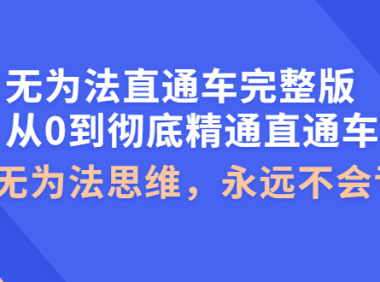 (2394)无为法直通车完整版:从0到彻底精通直通车,用无为法思维,永远不会亏损