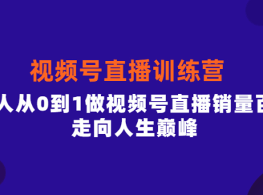 （2400）行动派·视频号直播训练营，素人从0到1做视频号直播销量百万，走向人生巅峰