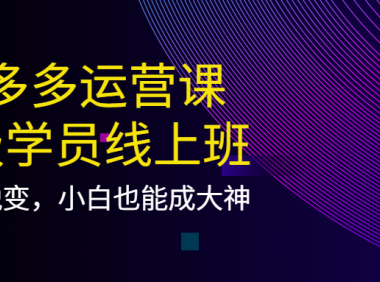 (2402)拼多多运营课:超级学员线上班,21天蜕变,小白也能成大神