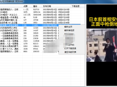 （2434）快手主页解析 快手视频解析工具 快手视频下载工具