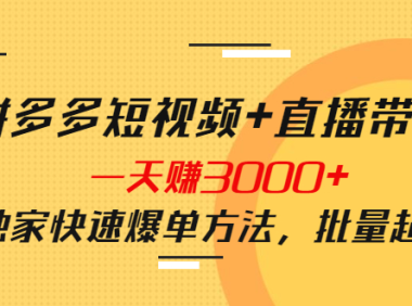 （2441）拼多多短视频+直播带货，一天赚3000+独家快速爆单方法，批量起号