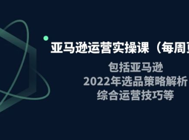 (2451)亚马逊运营实操课(每周更新)包括亚马逊2022选品策略解析,综合运营技巧等