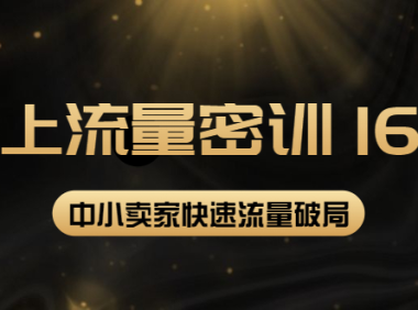 (2464)2022秋秋线上流量密训16.0:包含 暴力引流10W+中小卖家流量破局技巧 等等!