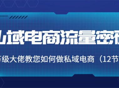 (2478)私域电商流量密码:千万级大佬教您如何做私域电商(12节课)