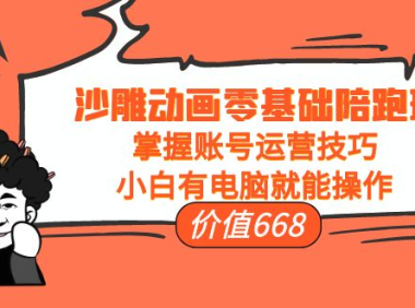 (2484)沙雕动画零基础陪跑班,掌握账号运营技巧,小白有电脑就能操作(价值668)