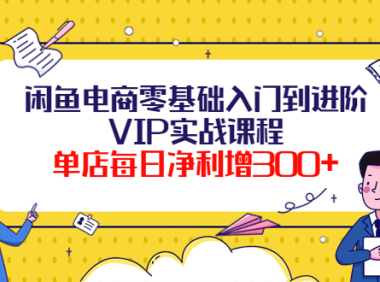 (2508)闲鱼电商零基础入门到进阶VIP实战课程,单店每日净利增300+(37节课)