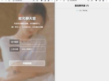 （2516）某匿名聊天室多人在线聊天交友源码（无需注册即可畅所欲言）