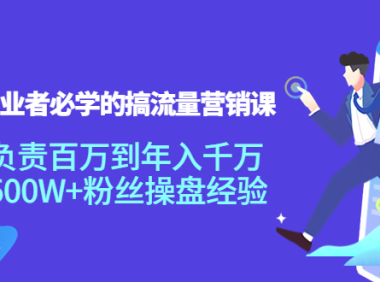 （2525）创业者必学的搞流量营销课：负责百万到年入千万，500W+粉丝操盘经验