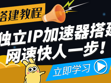 （2527）【独立IP搭建教程】SOCK5-IP搭建制作详细流程，散人工作室必备技能