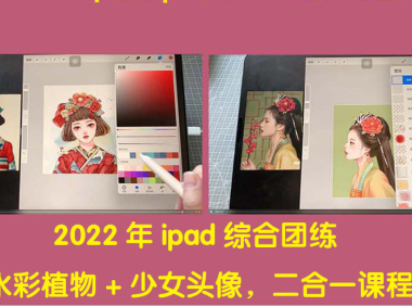 (2532)2022年ipad综合团练水彩植物+少女头像,二合一课程(40节课)