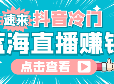 （2535）最新抖音冷门简单的蓝海直播赚钱玩法，流量大知道的人少，可做到全无人直播