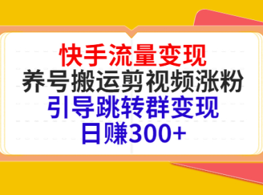 (2536)快手流量变现,养号搬运剪视频涨粉,引导跳转群变现日赚300+