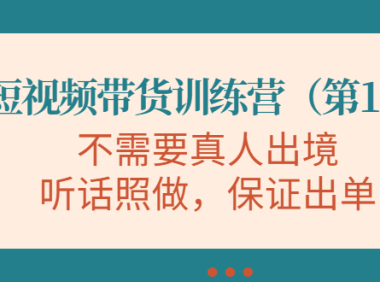 (2541)短视频带货训练营(第11期),不需要真人出境,听话照做,保证出单