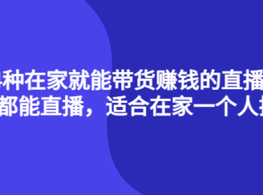 （2566）4种在家就能带货赚钱的直播课，人人都能直播，适合在家一个人操作！