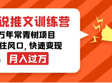 (2594)小说推文训练营,万年常青树项目,抓住风口,快速变现月入过万