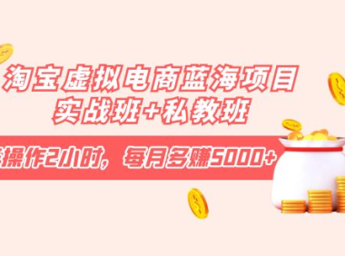 (2601)淘宝虚拟电商蓝海项目实战班+私教班:每天操作2小时,每月多赚5000+