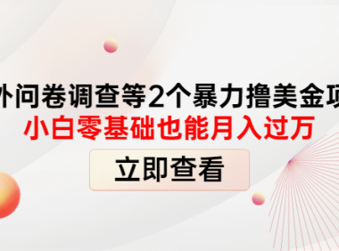 (2607)国外问卷调查等2个暴力撸美金项目,小白零基础也能月入过万