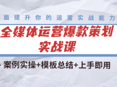 (2615)全媒体运营爆款策划实战课:案例实操+模板总结+上手即用(111节课时)