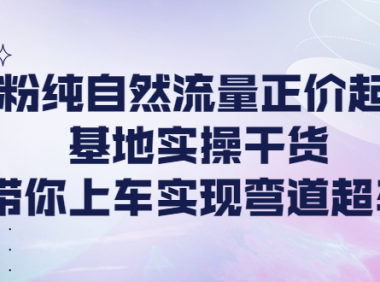 （2620）0粉纯自然流量正价起号基地实操干货，带你上车实现弯道超车