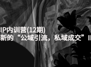 （2672）新媒体IP内训营(12期)，一套全新的“公域引流，私域成交”IP打法，直接带走