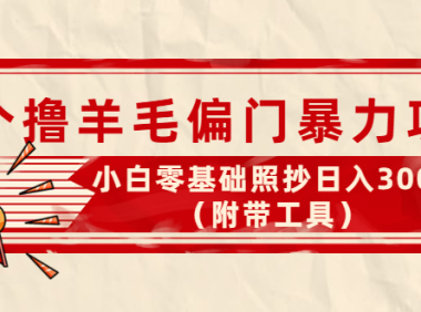 (2679)外面卖998的三个撸羊毛偏门暴力项目,小白零基础照抄日入300+(附带工具)