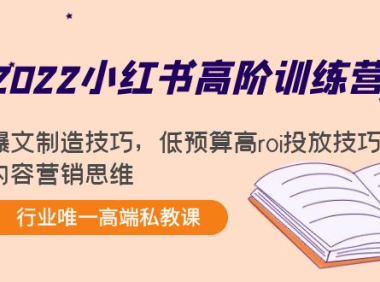 (2707)2022小红书高阶训练营:爆文制造技巧,低预算高roi投放技巧,内容营销思维