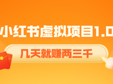 (2719)《小红书虚拟项目1.0》账号注册+养号+视频制作+引流+变现,几天就赚两三千