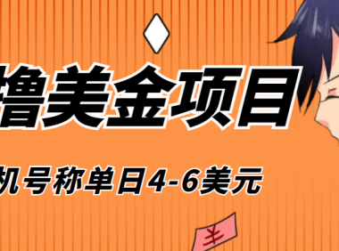 (2726)外面收费1980的最新国外撸美金挂机项目,号称单窗口一天4美金+(脚本+教程)