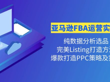 (2746)亚马逊FBA运营实操课 纯数据分析选品+完美Listing打造+爆款打造PPC策略实操