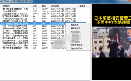 (2434)快手主页解析 快手视频解析工具 快手视频下载工具