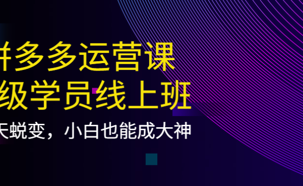 （2402）拼多多运营课：超级学员线上班，21天蜕变，小白也能成大神