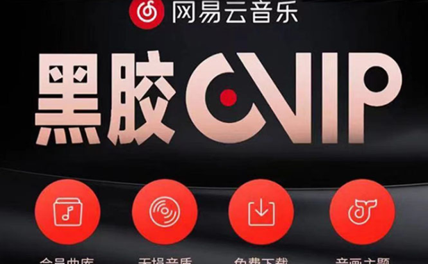（2435）网易云撸黑胶年卡及变现方法，收益可无限放大