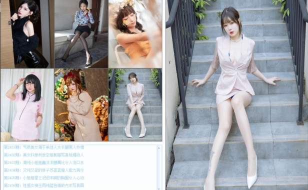 （2691）写真站资源爬取 写真图批量爬虫下载器_V1.6
