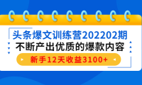 (2754)头条爆文训练营202202期,不断产出优质的爆款内容,新手12天收益3100+