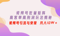 （2979）视频号批量矩阵的高客单高利润玩法揭秘： 视频号引流与变现 月入10W+