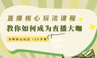 （2985）直播核心玩法：教你如何成为直播大咖，各种核心玩法（20节课）
