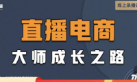 （2986）直播电商高手成长之路：教你成为直播电商大师，玩转四大板块（25节）