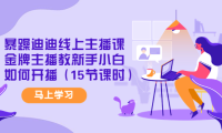 （2989）暴躁迪迪线上主播课，金牌主播教新手小白如何开播（15节课时）