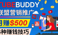 (2992)推广TubeBuddy联盟营销项目,完全免费的推广方法,轻松月赚500美元