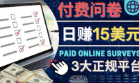 (2994)参与付费调查,利用自己的空闲时间完成问卷,适合新手的平台,日赚15美元