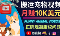 (3006)搬运TIKTOK视频到YouTube,并进行二次创作,月赚1万美元以上