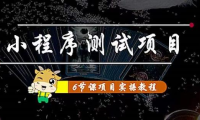 （3012）小程序测试项目 从星图 搞笑 网易云 实拍 单品爆破 抖音抖推猫小程序变现